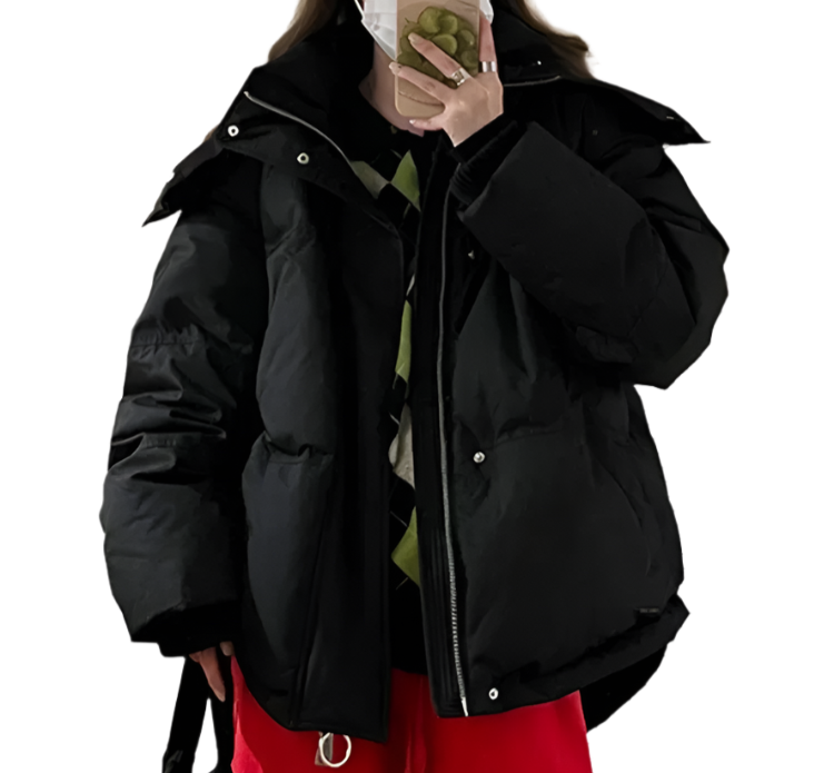 Hooded Cotton Puffer Down Jacket